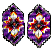 Load image into Gallery viewer, Star & Feathers Earrings