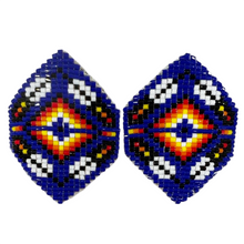 Load image into Gallery viewer, Many Feathers Earrings
