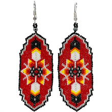 Load image into Gallery viewer, Feather &amp; Star Earring
